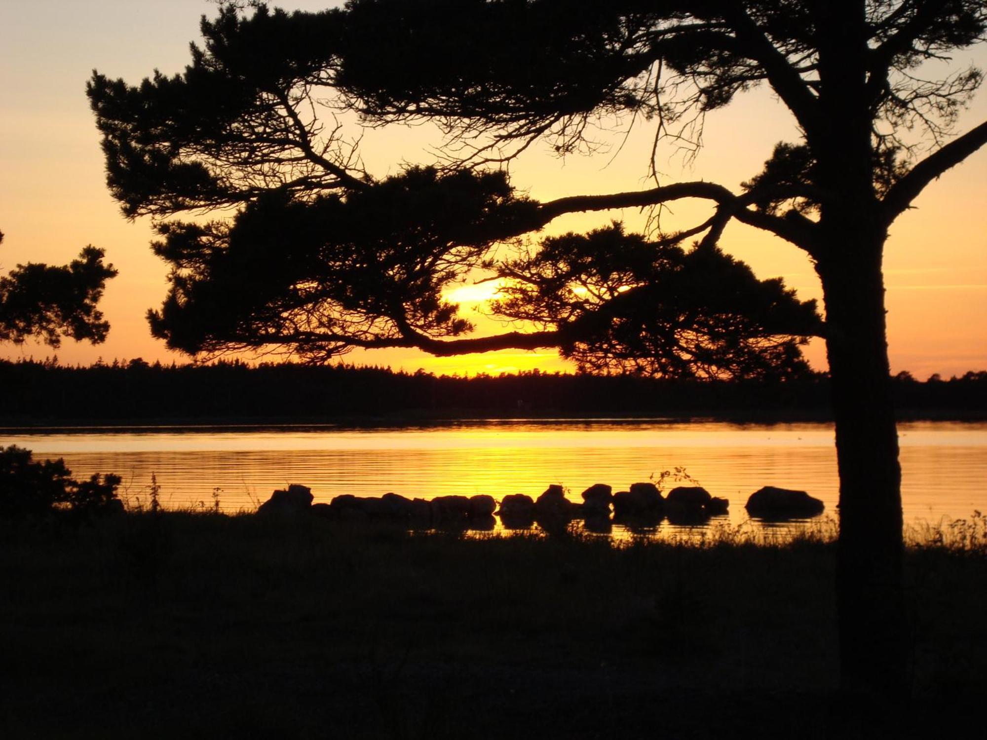 Fårösund Gotlands Idrottscenter Vandrarhem חדר תמונה